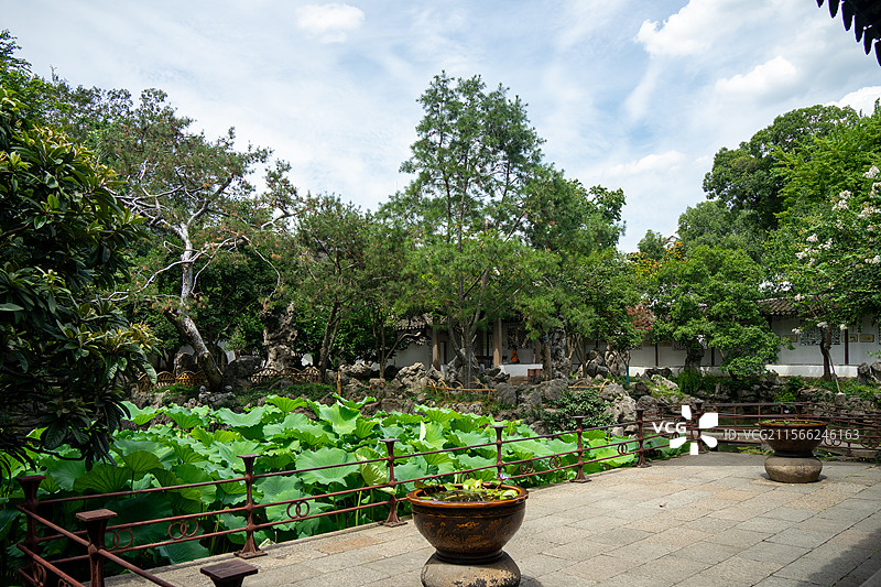 苏州怡园树木图片素材