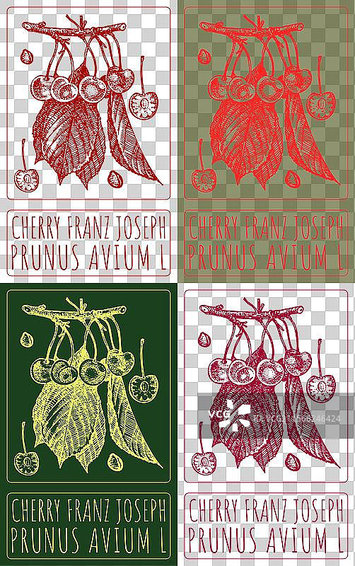 各种风格的樱桃弗朗茨·约瑟夫绘画作品图片素材