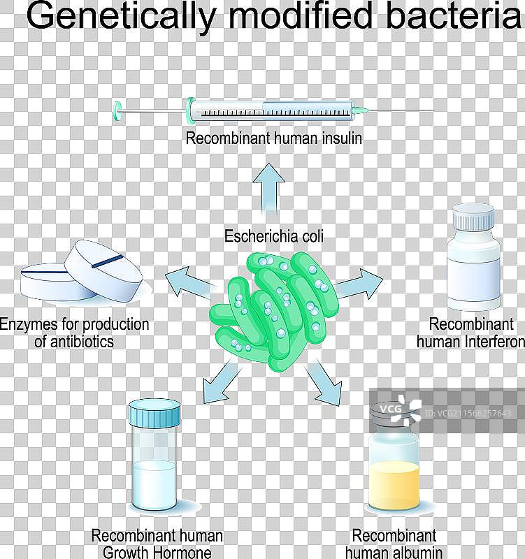 转基因大肠杆菌图片素材