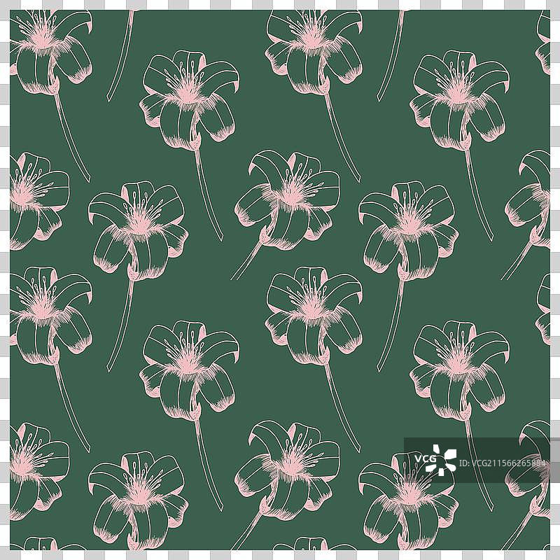 萱草无缝图案图片素材