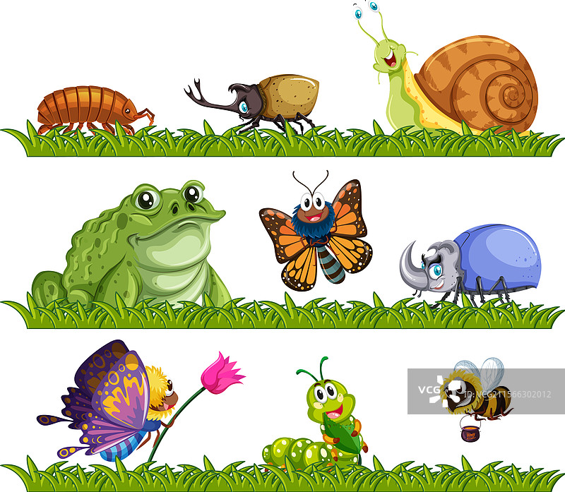 生机勃勃的生物在郁郁葱葱的草地环境中图片素材