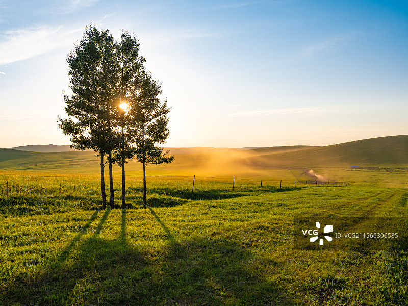 草原夕阳几棵树图片素材