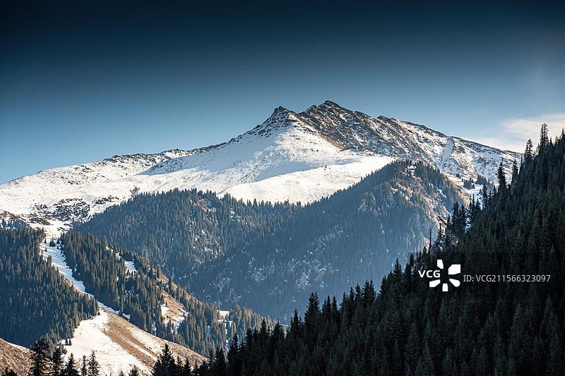 雪山森林风景图片素材