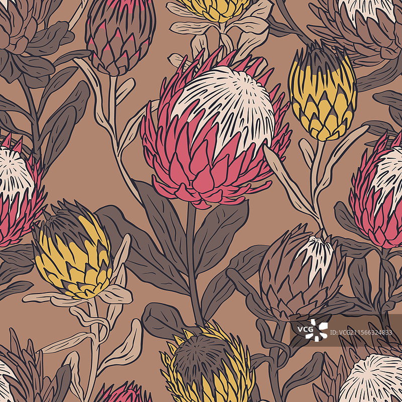 无缝图案，手绘的普罗提亚花朵图片素材