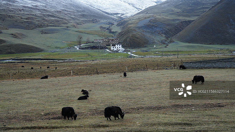 藏式民居图片素材