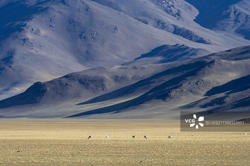 西藏阿里革吉县风光图片素材