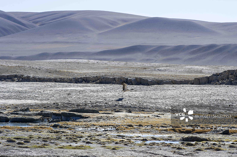 西藏阿里革吉县风光图片素材