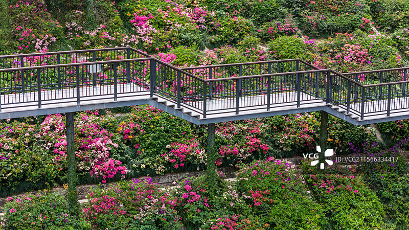 深圳市玉龙公园图片素材