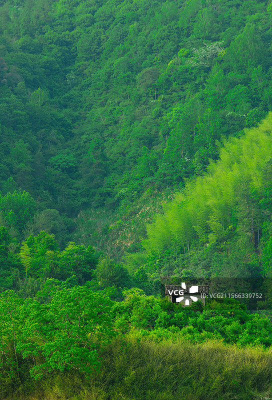 高山森林中的小屋图片素材