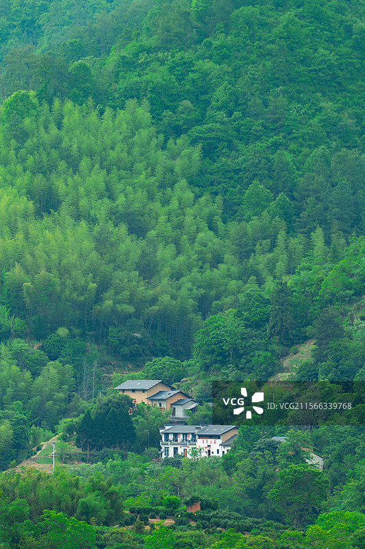 高山森林中的民居图片素材