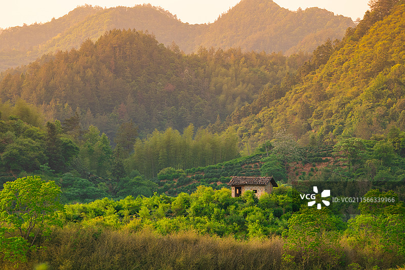 傍晚高山森林中的小屋图片素材