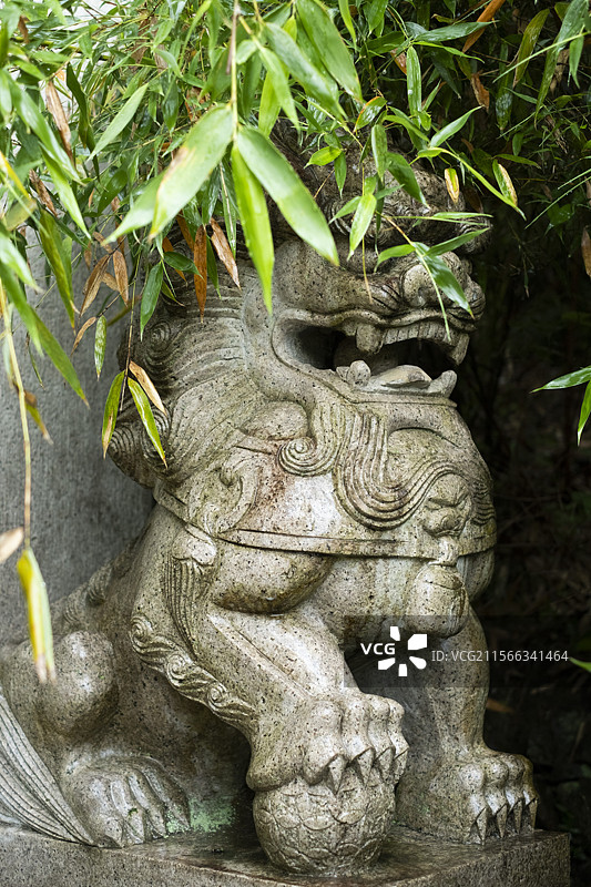 户外绿植旁的石狮子图片素材