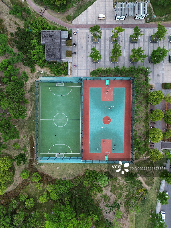 丛林中的球场图片素材