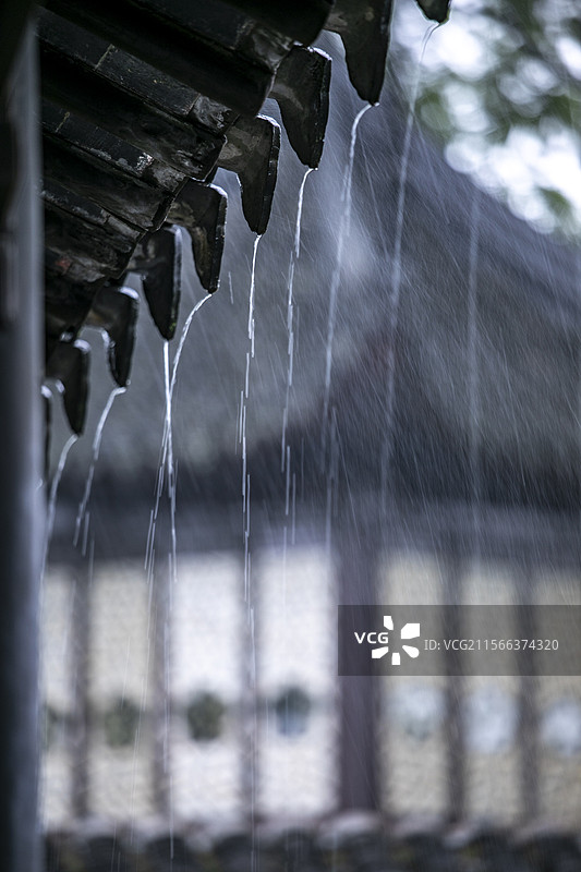 烟雨江南拙政园 五月雨景图片素材