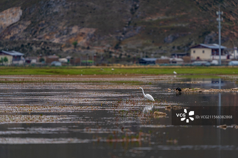 秋天的乡村田园风光图片素材