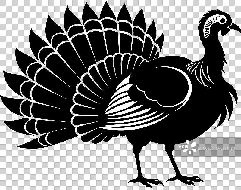 土耳其探索丰富的文化和美食图片素材