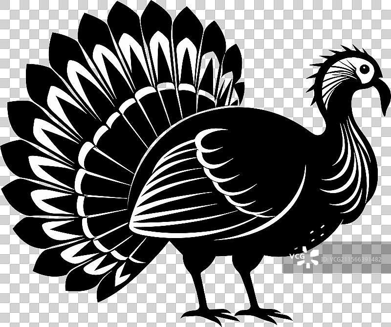 土耳其探索丰富的文化和美食图片素材