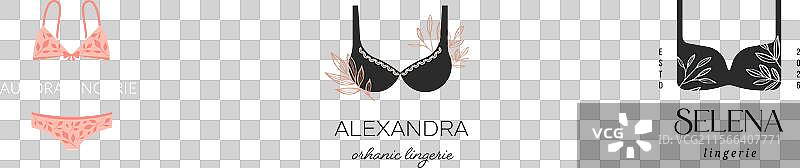 优雅奢华的内衣和内裤品牌标志图片素材