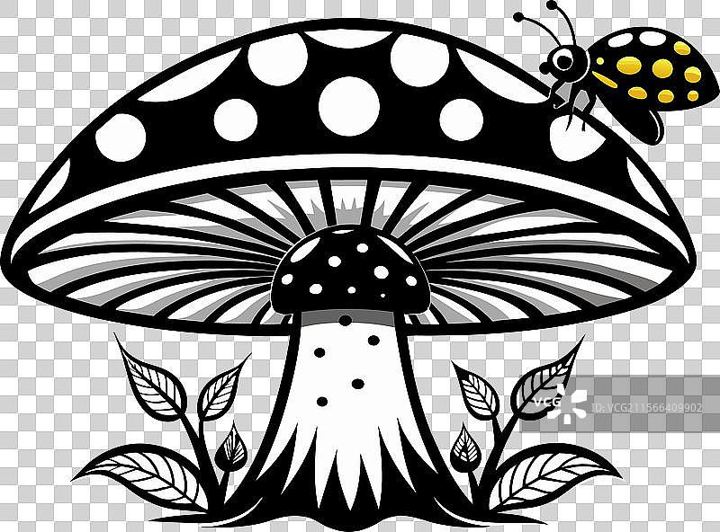 迷幻蘑菇魔法解锁秘密图片素材