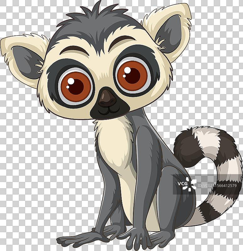 可爱的狐猴，拥有大眼睛和条纹尾巴图片素材