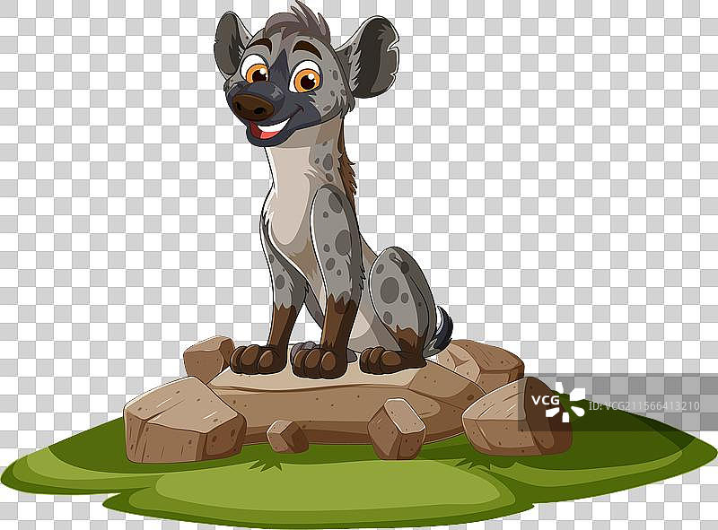 微笑的土狼坐在岩石和草地上图片素材