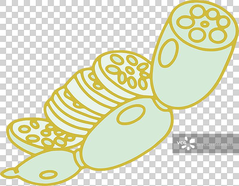 简笔画 设计 元素 蔬菜 点缀 食材 莲藕 藕粉 荷花图片素材