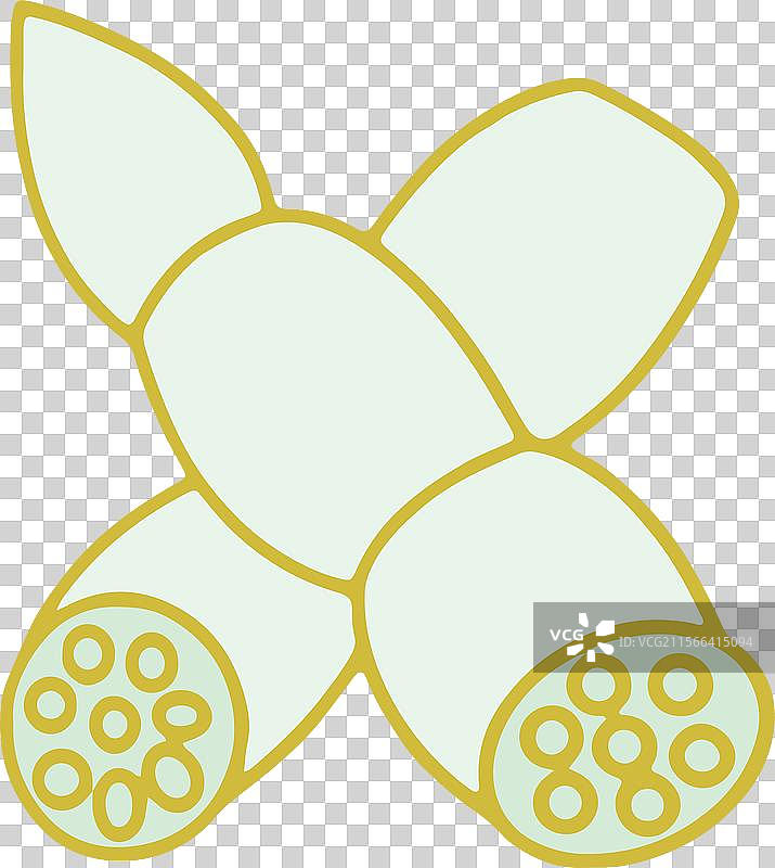 简笔画 设计 元素 蔬菜 点缀 食材 莲藕 藕粉 荷花图片素材