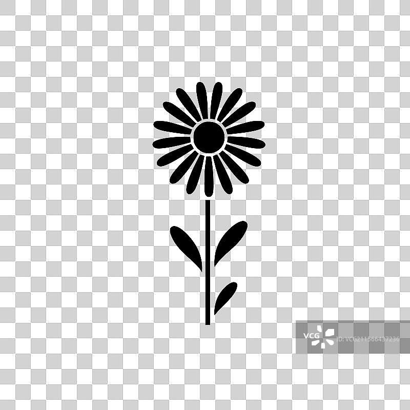 雏菊 - 黑白色图片素材