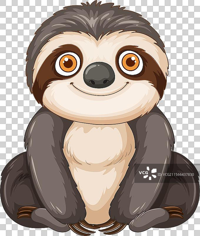 可爱的树懒露出快乐的表情图片素材