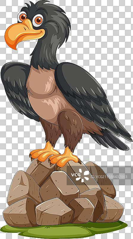 秃鹫栖息在岩石上，神情警觉图片素材