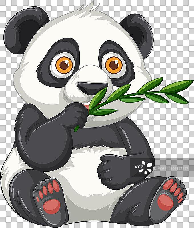 可爱的熊猫在啃食绿色竹子图片素材