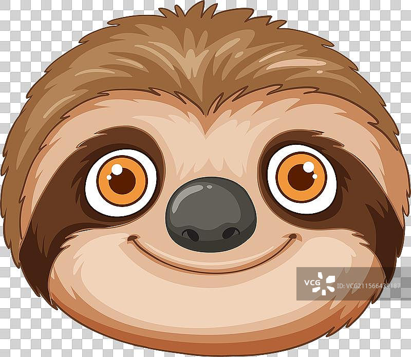 可爱的树懒脸庞，配有大眼睛图片素材