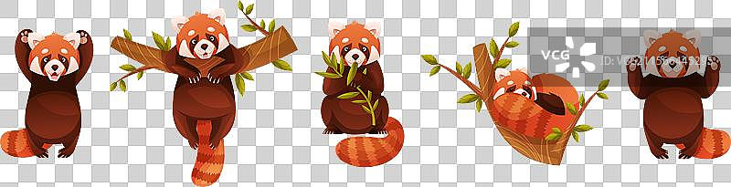 可爱的红熊猫，作为一种小型毛茸茸的哺乳动物，带有图片素材