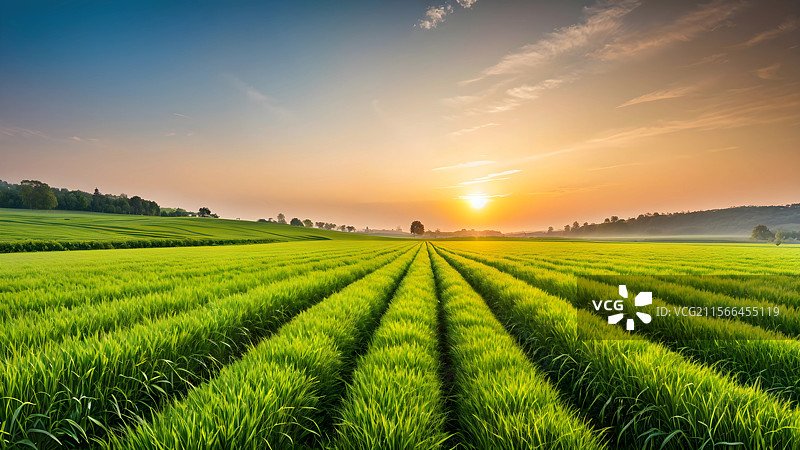 日落时分，农业田野与天空的美丽景色图片素材