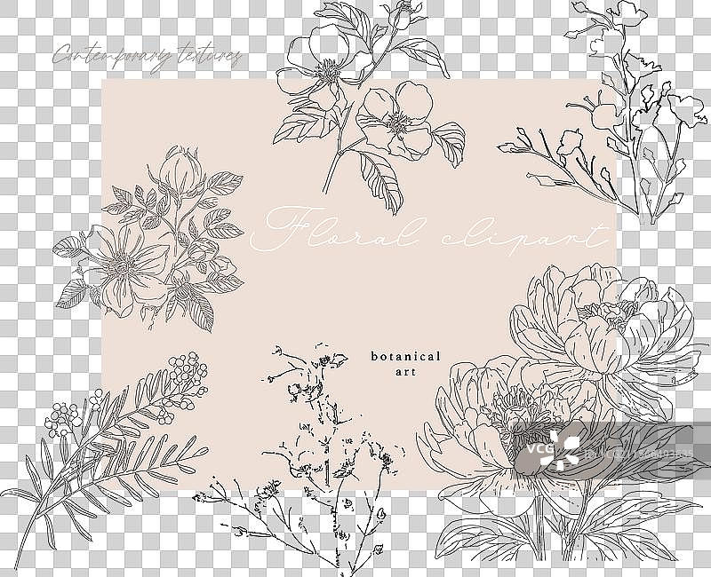 精致的抽象花卉印花套装图片素材