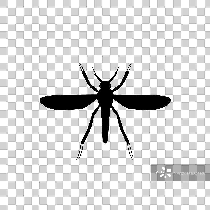 蚊子 - 黑白色图片素材