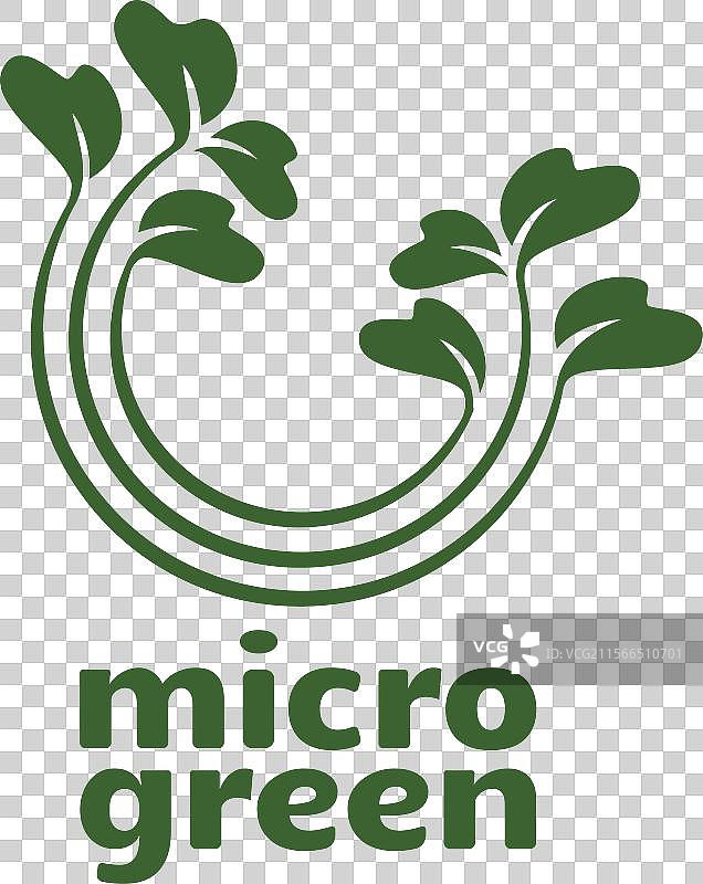 动态微型绿植标志，带有蔬菜芽图片素材