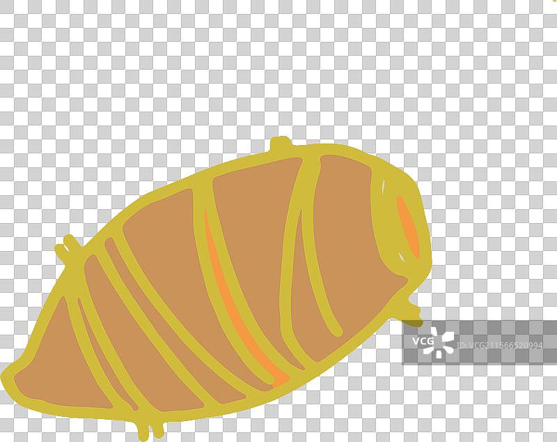 芋头 山芋 简笔画 设计 元素 蔬菜 点缀 食材图片素材