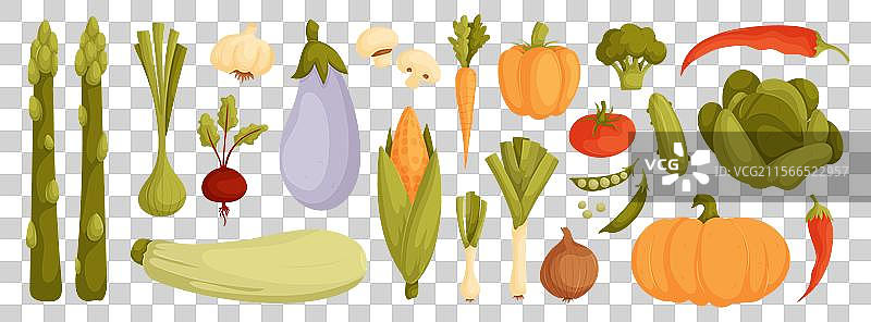 卡通蔬菜系列，色彩丰富且多样图片素材
