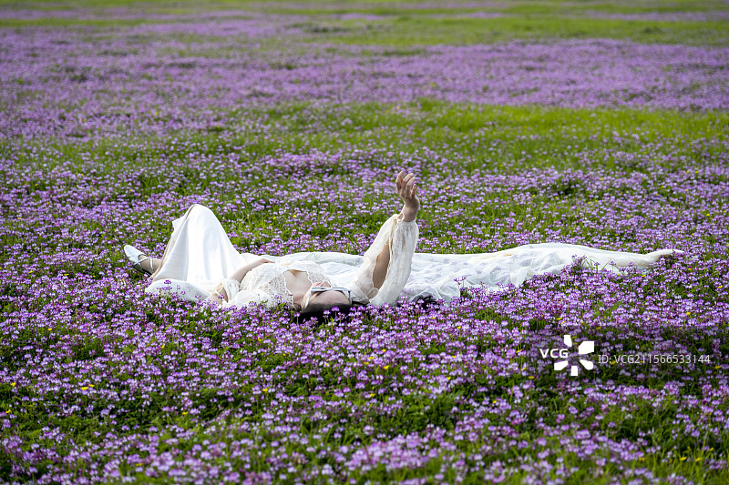 春天紫云英花海白婚纱女孩躺卧花丛花草自然风光图片素材
