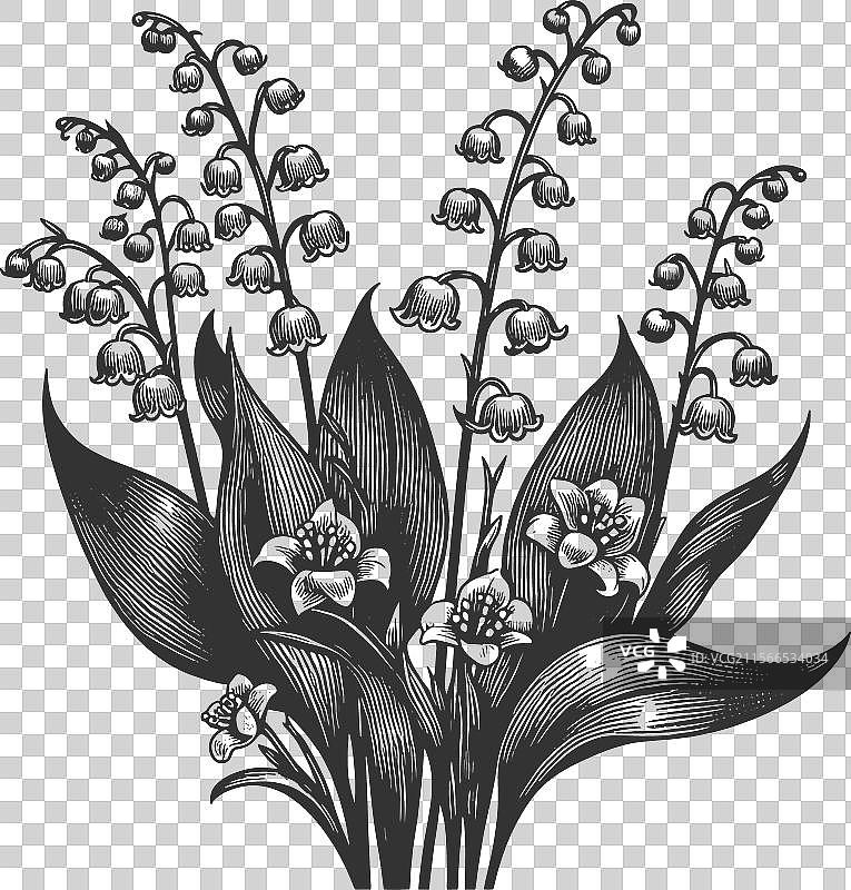铃兰花束雕刻素描图片素材
