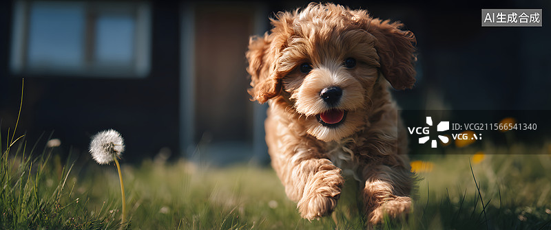 【AI数字艺术】奔跑的小狗图片素材
