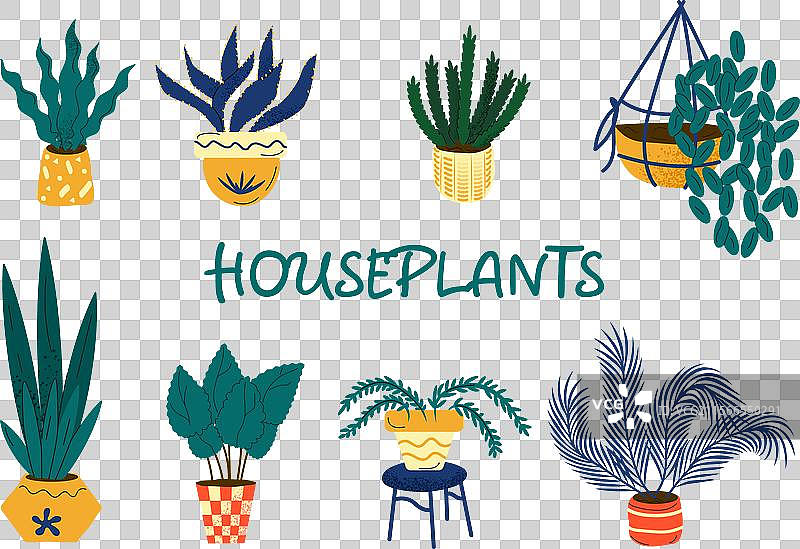 一组孤立在白色背景上的室内植物图片素材