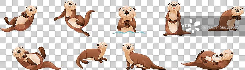 海獺作为海洋哺乳动物和水生生物图片素材