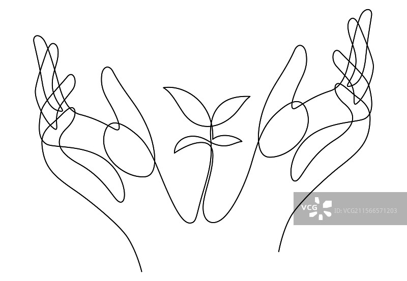 用双手持续照顾幼苗图片素材