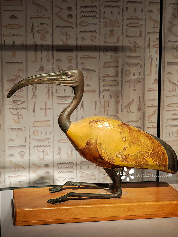 上海博物馆古埃及文明大展 —— 圣鹮雕像特写图片素材