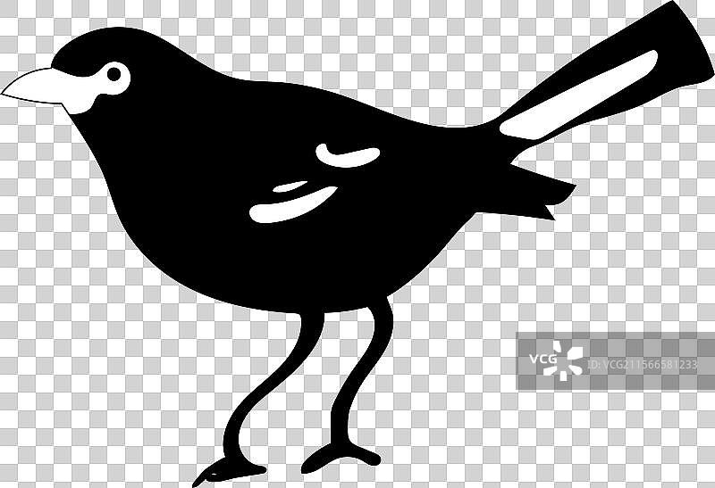 时尚的蓝灰色唐纳雀极简设计图片素材