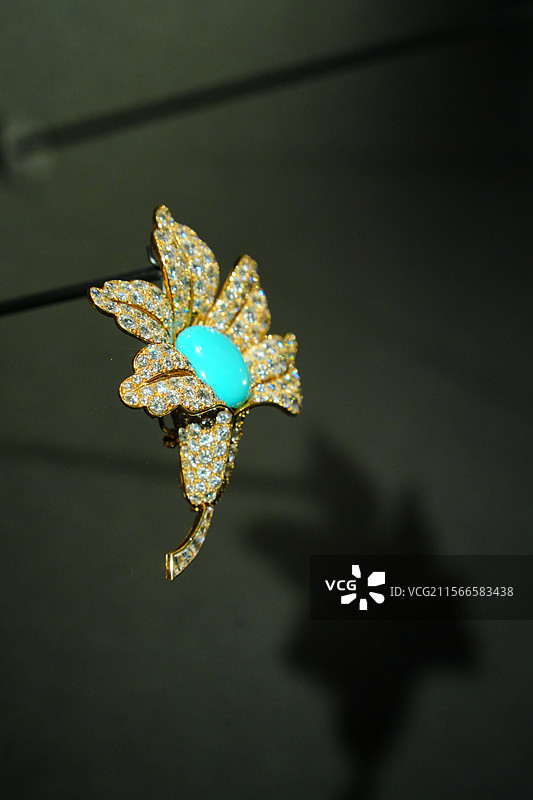 上海历史博物馆珠宝展-梵克雅宝花朵胸针（法国，约1960）图片素材