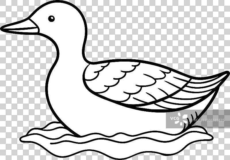 美国潜鸟游泳图标图片素材