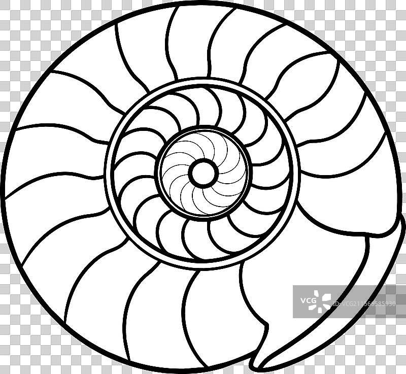 菊石壳图标图片素材